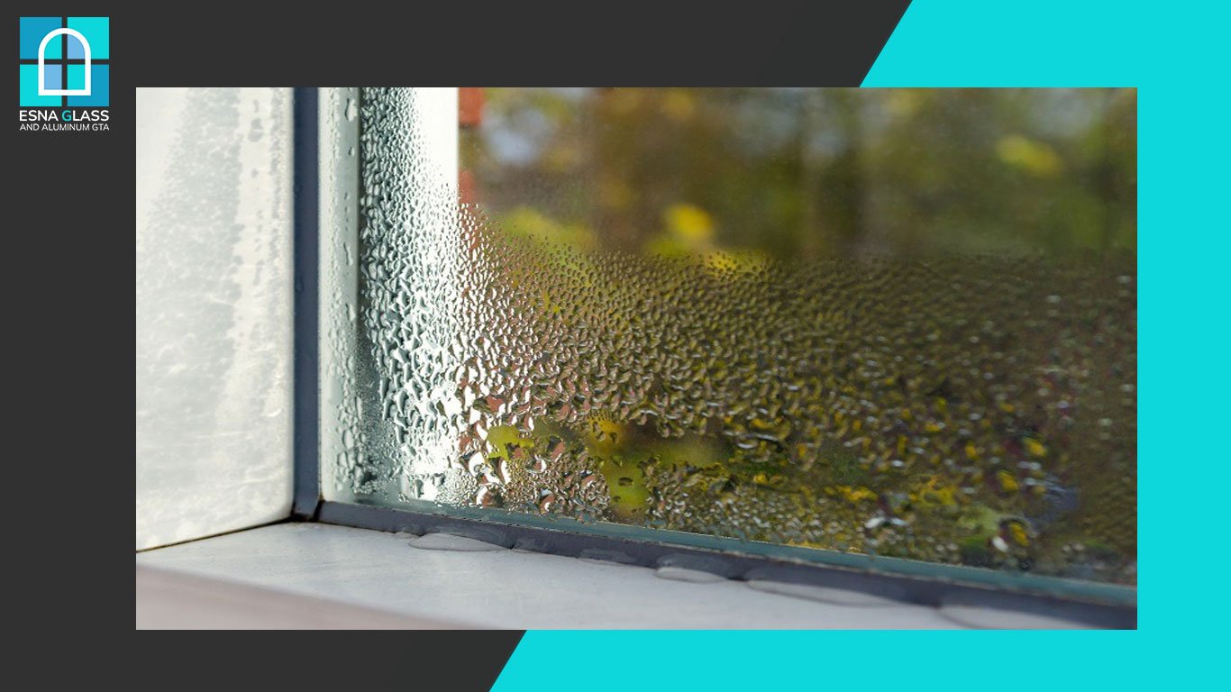 Condensation Between Window Panes 2024 Essential Guideline