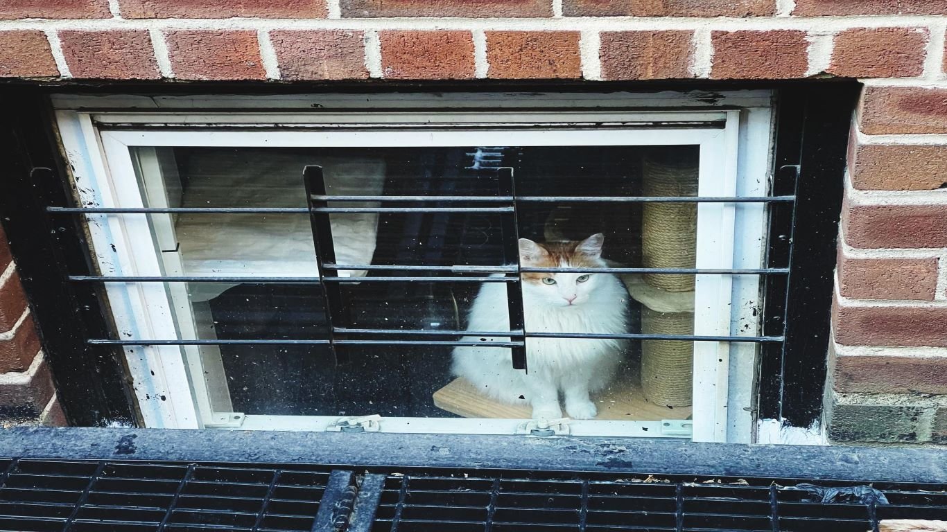 Basement Window Security Bars